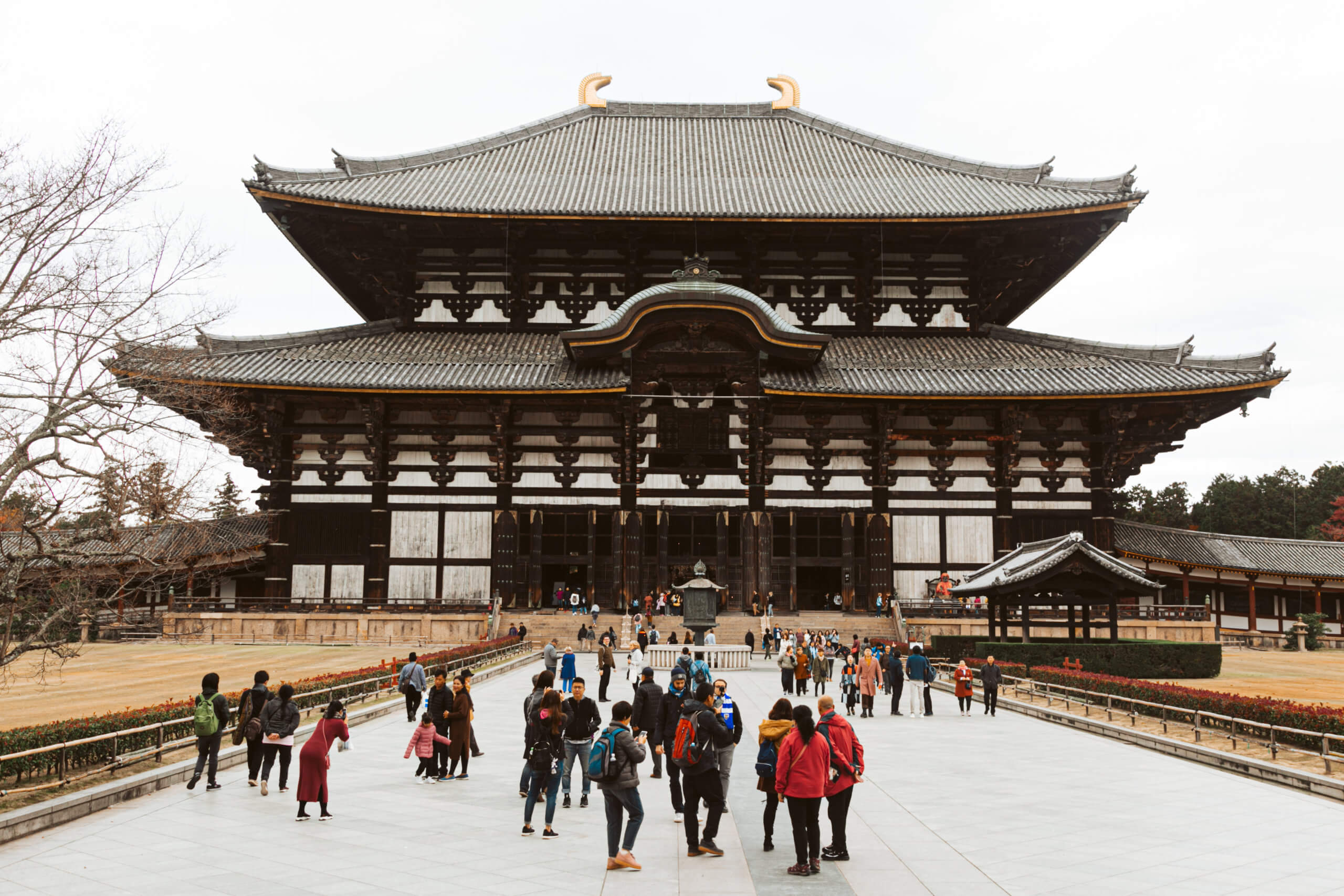 day trip to nara from osaka