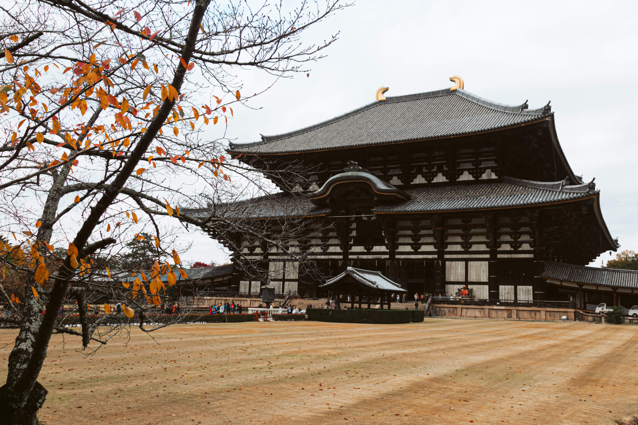 day trip to nara from osaka